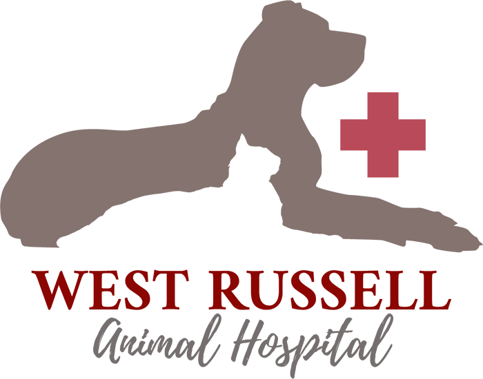 West Russell Animal Hospital