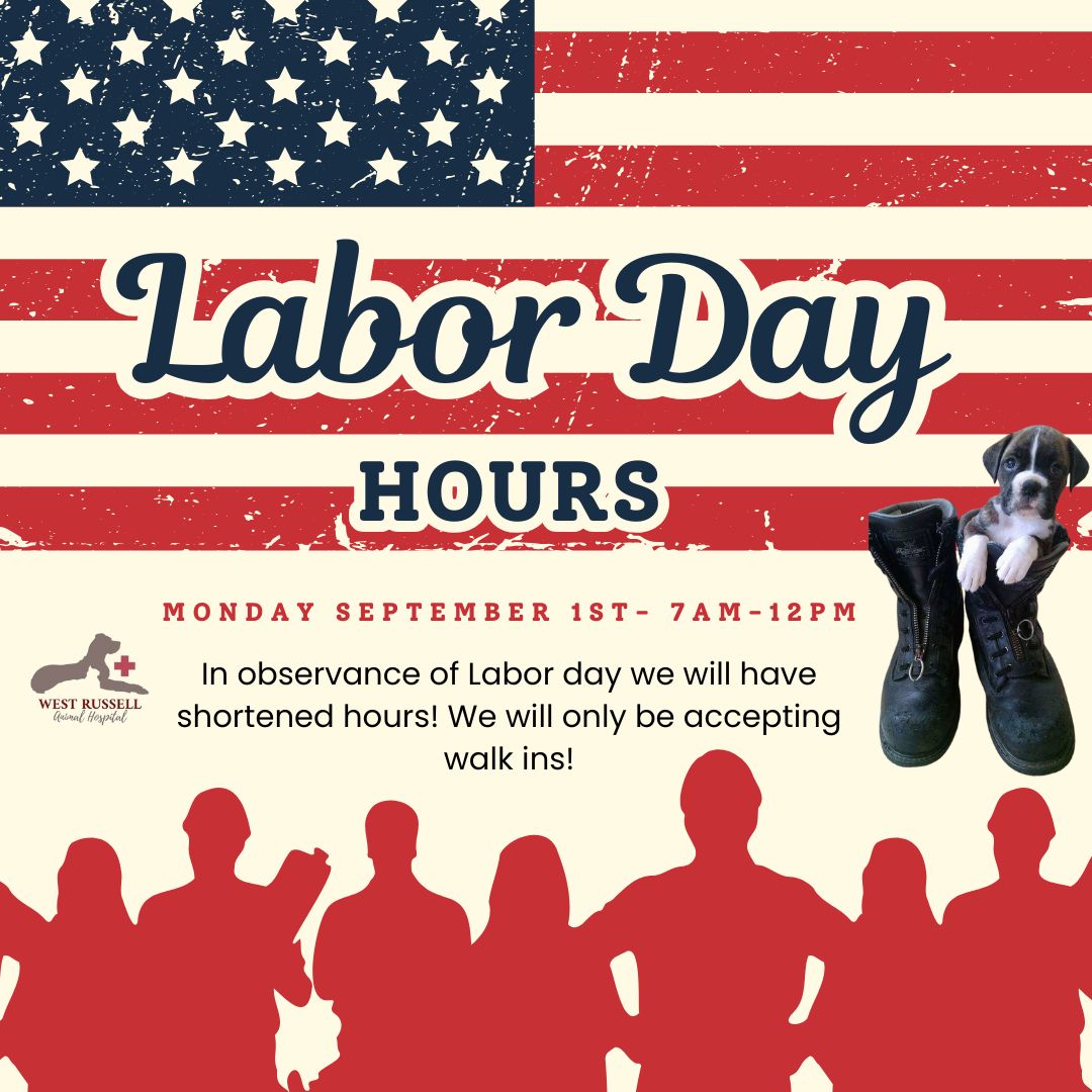 Labor Day hours